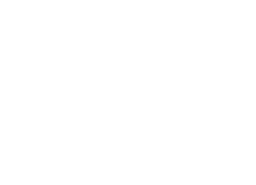 logo Fencing and Patio Pros